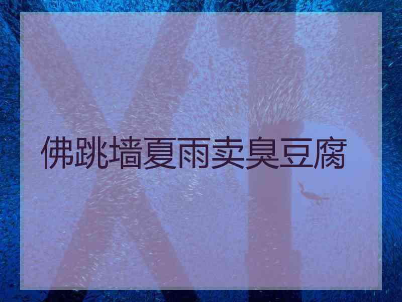 佛跳墙夏雨卖臭豆腐