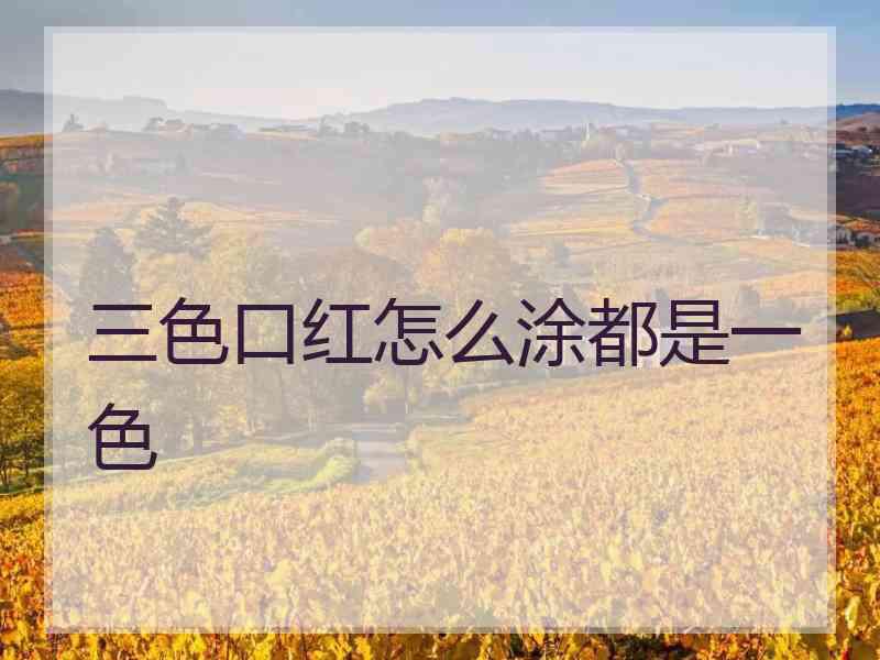 三色口红怎么涂都是一色
