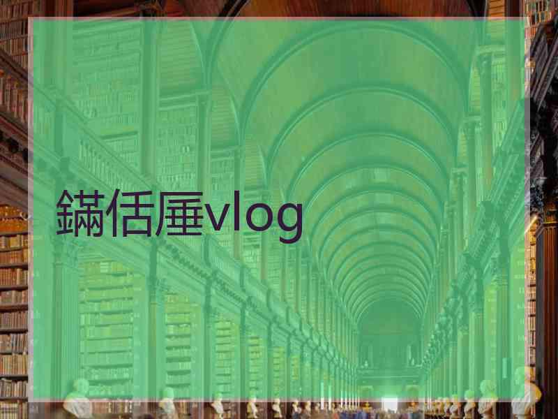 鏋佸厜vlog