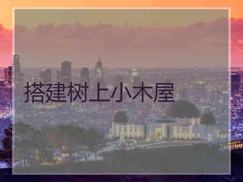 搭建树上小木屋
