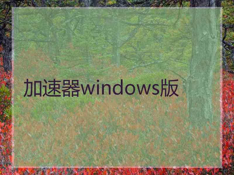 加速器windows版
