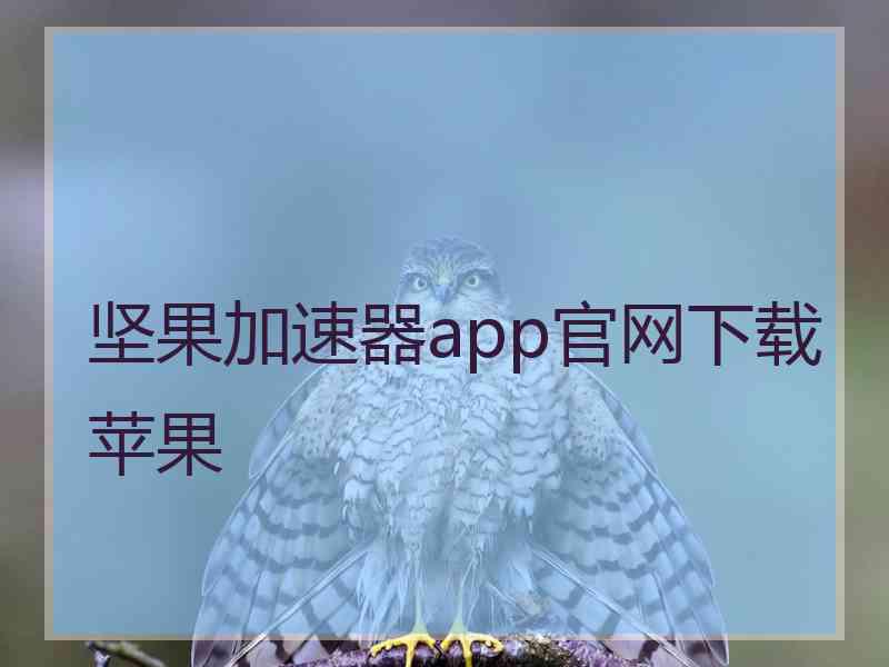 坚果加速器app官网下载苹果