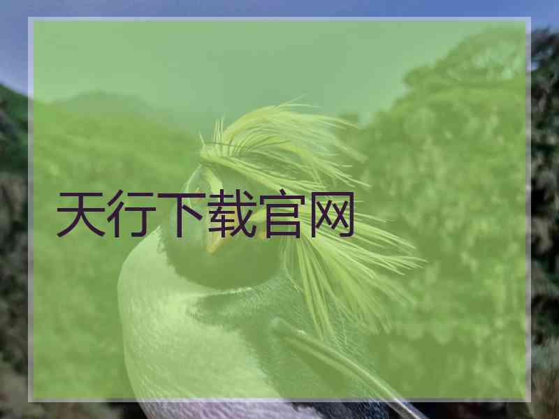 天行下载官网