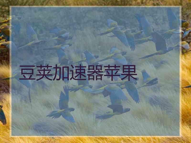 豆荚加速器苹果