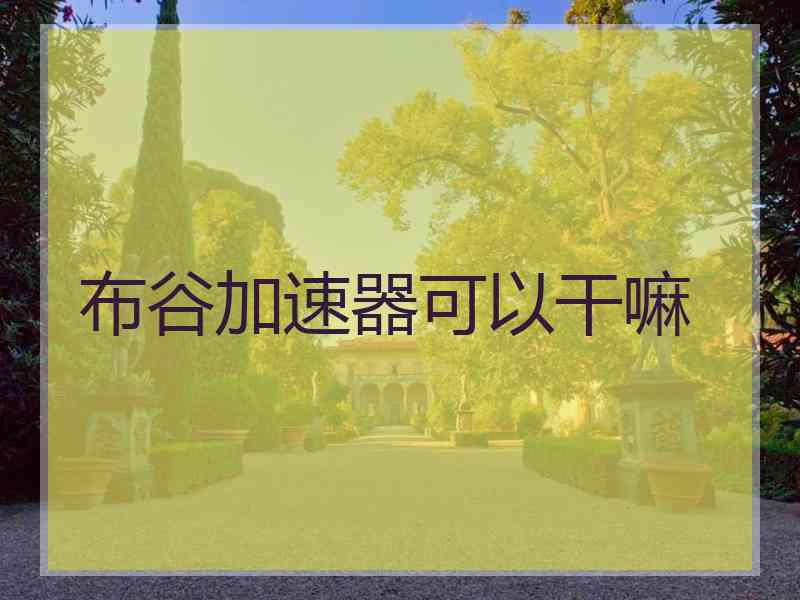 布谷加速器可以干嘛