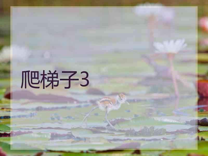 爬梯子3