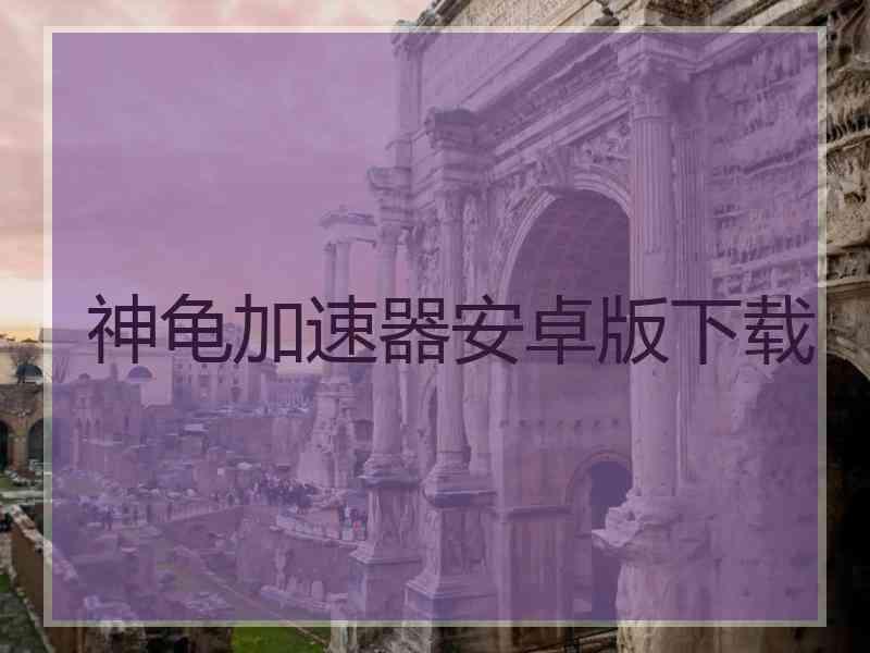 神龟加速器安卓版下载