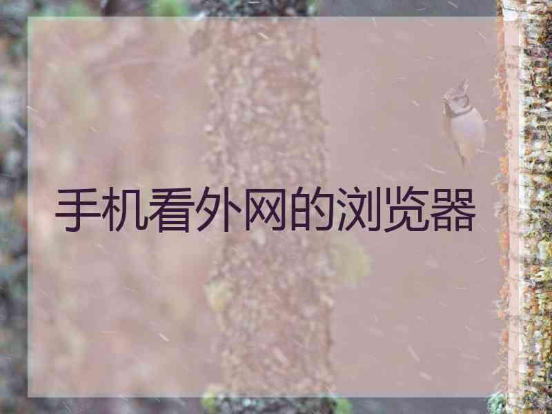 手机看外网的浏览器
