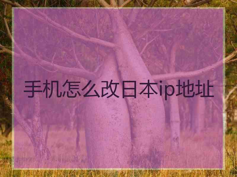 手机怎么改日本ip地址