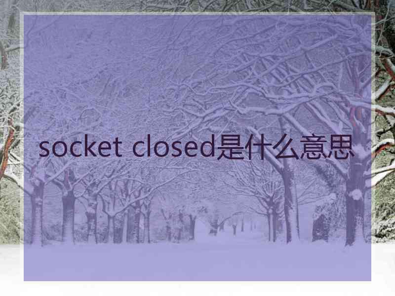 socket closed是什么意思