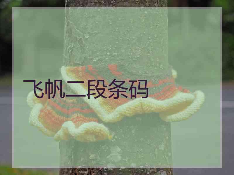 飞帆二段条码