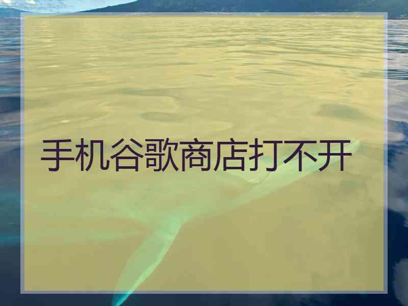 手机谷歌商店打不开
