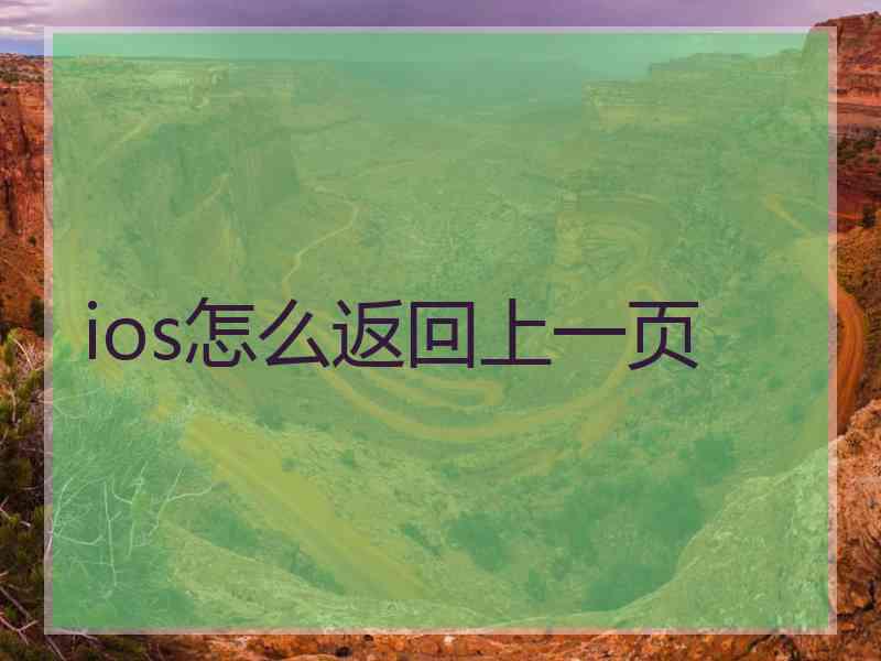 ios怎么返回上一页