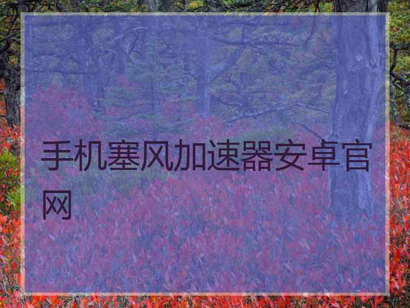 手机塞风加速器安卓官网