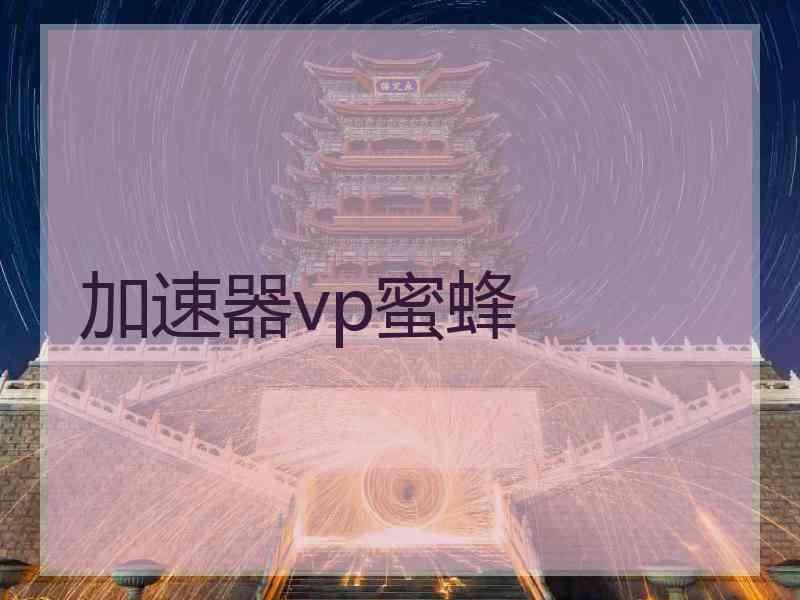 加速器vp蜜蜂