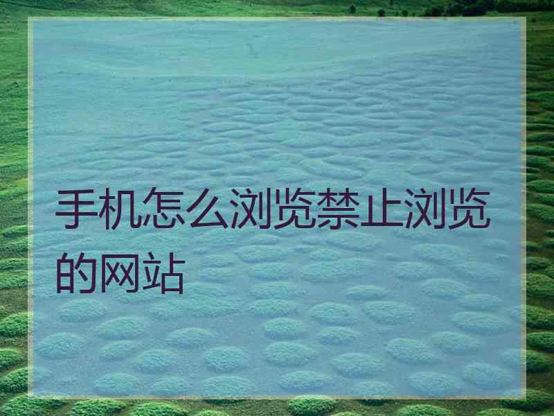 手机怎么浏览禁止浏览的网站