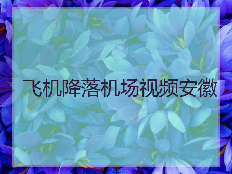 飞机降落机场视频安徽