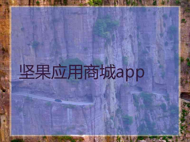 坚果应用商城app