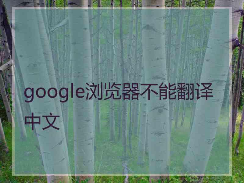google浏览器不能翻译中文