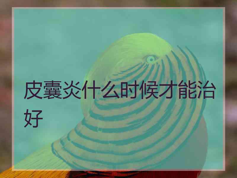 皮囊炎什么时候才能治好