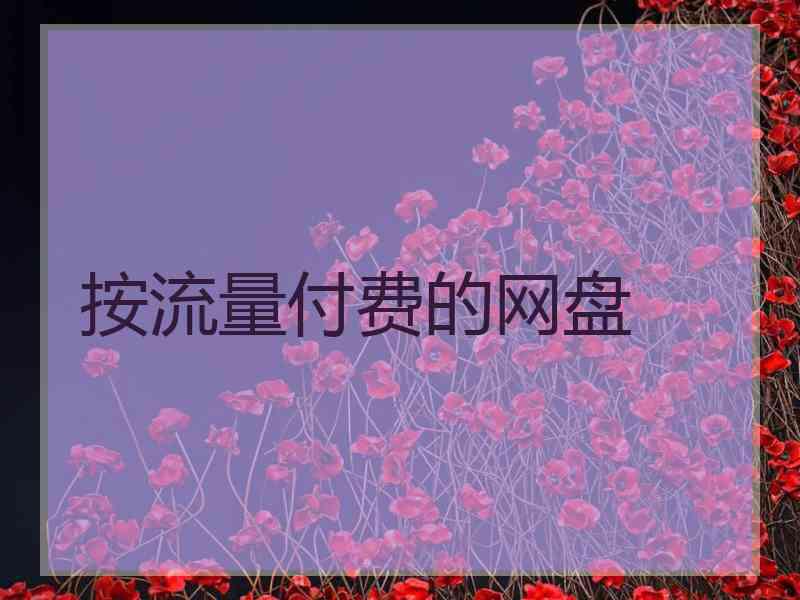 按流量付费的网盘