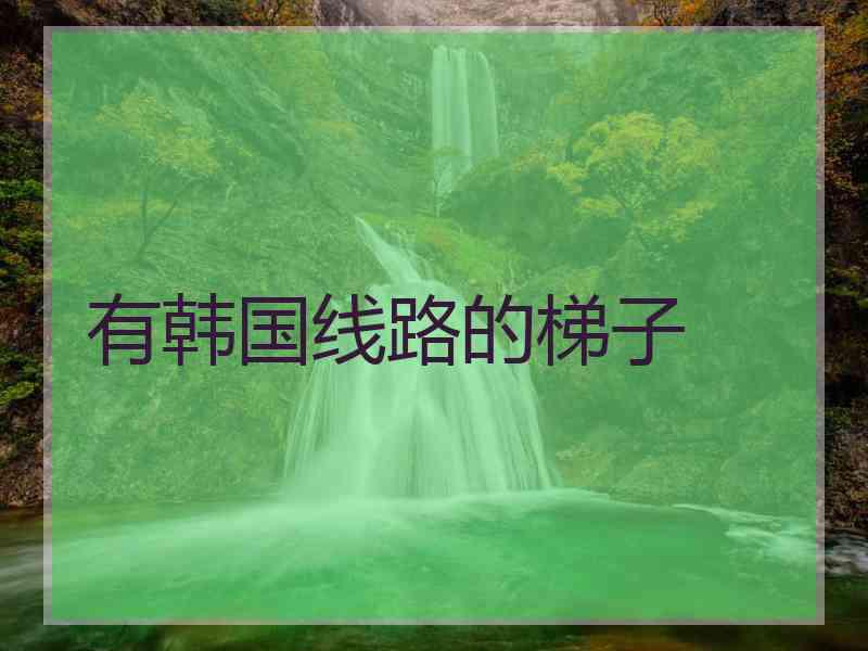 有韩国线路的梯子