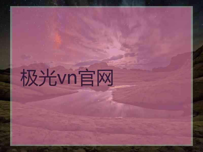 极光vn官网