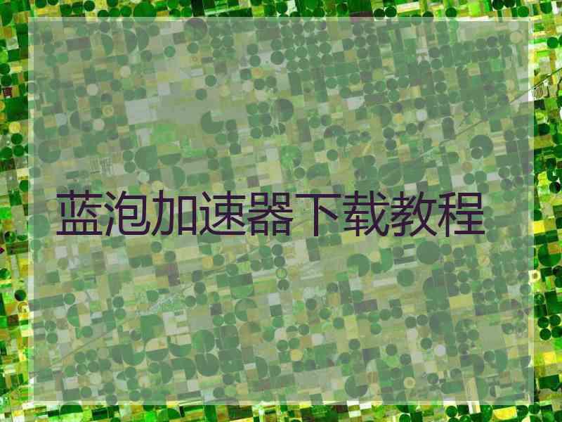 蓝泡加速器下载教程