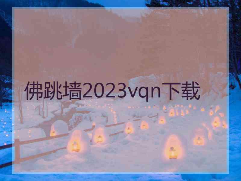 佛跳墙2023vqn下载