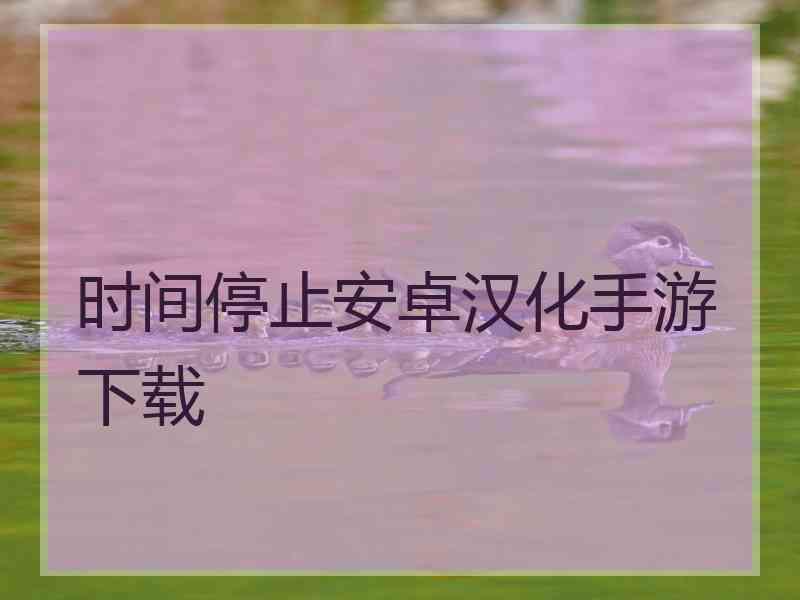 时间停止安卓汉化手游下载