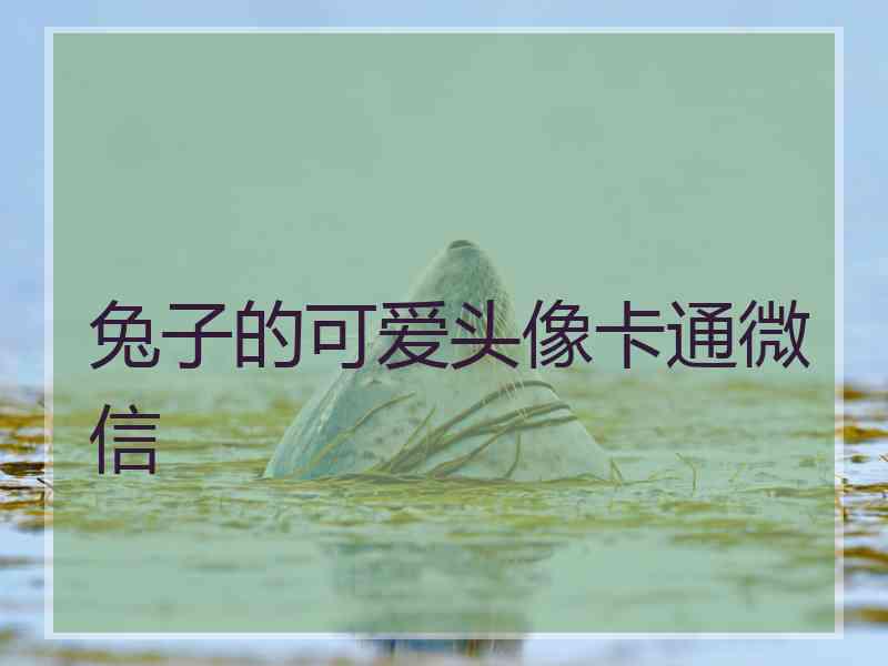 兔子的可爱头像卡通微信