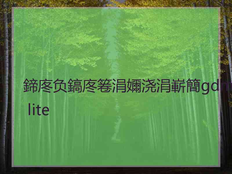 鍗庝负鎬庝箞涓嬭浇涓嶄簡gdmss lite