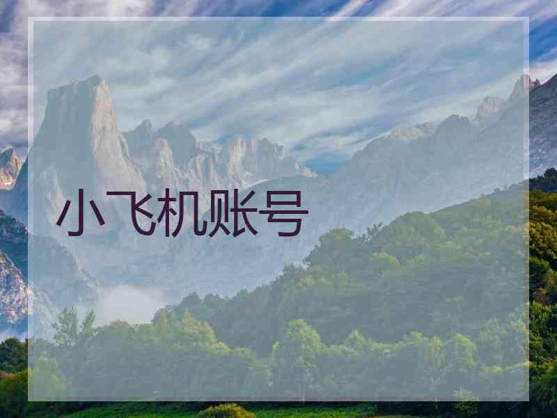 小飞机账号