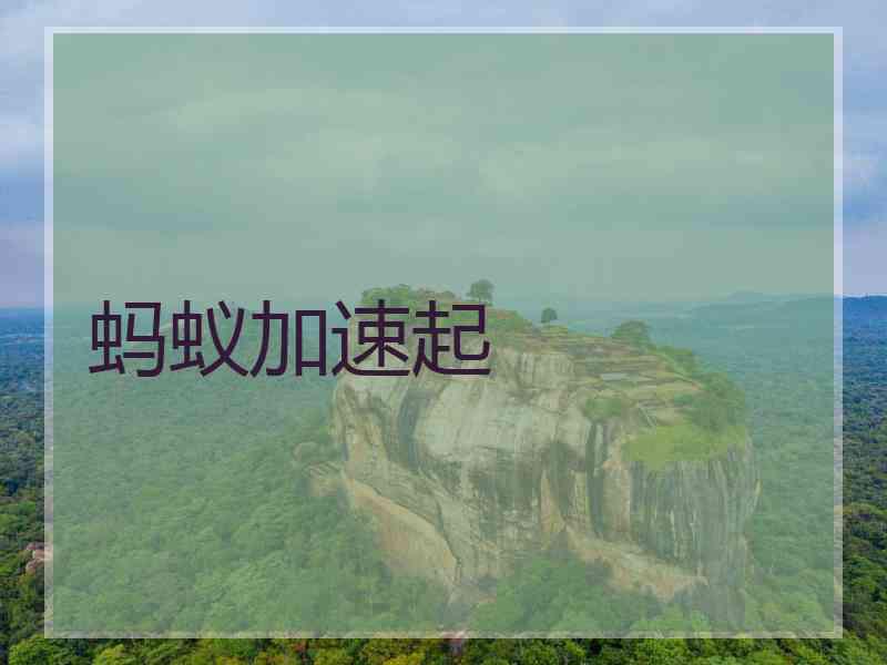 蚂蚁加速起