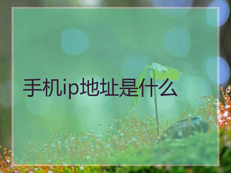 手机ip地址是什么