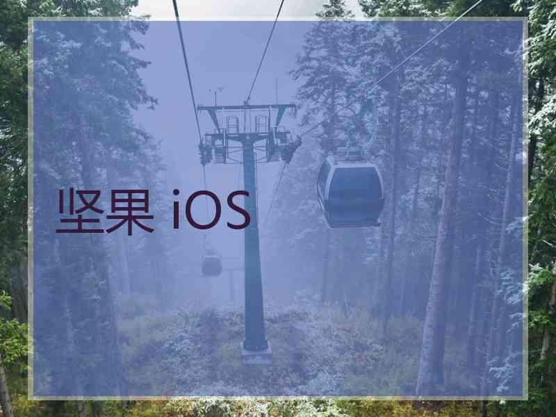 坚果 iOS