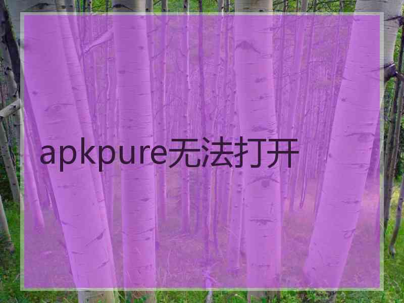 apkpure无法打开