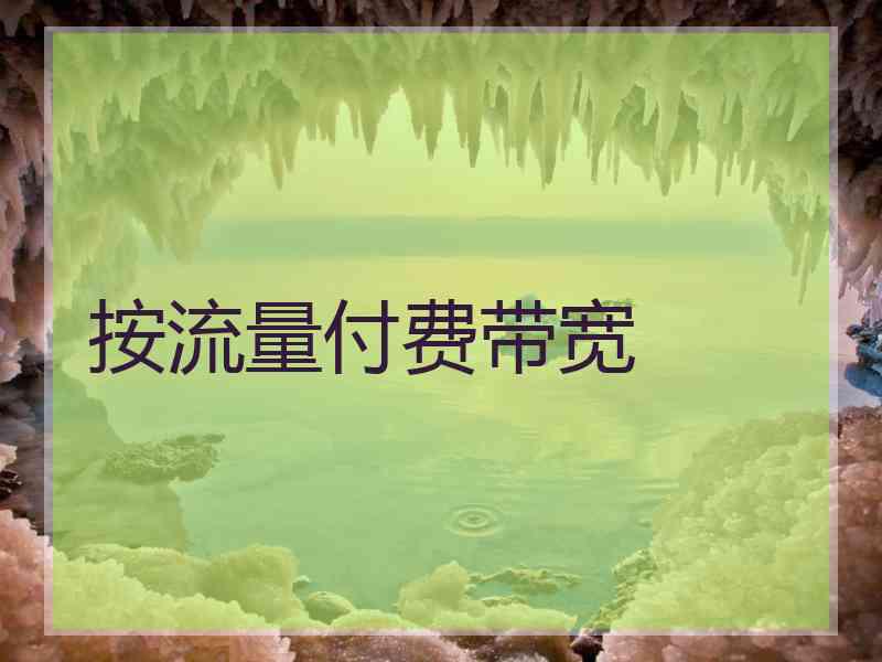 按流量付费带宽