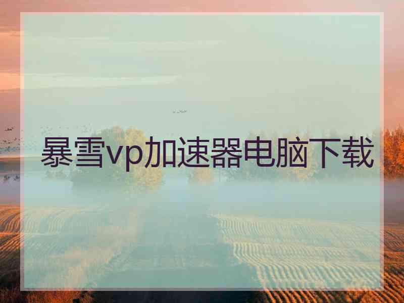 暴雪vp加速器电脑下载
