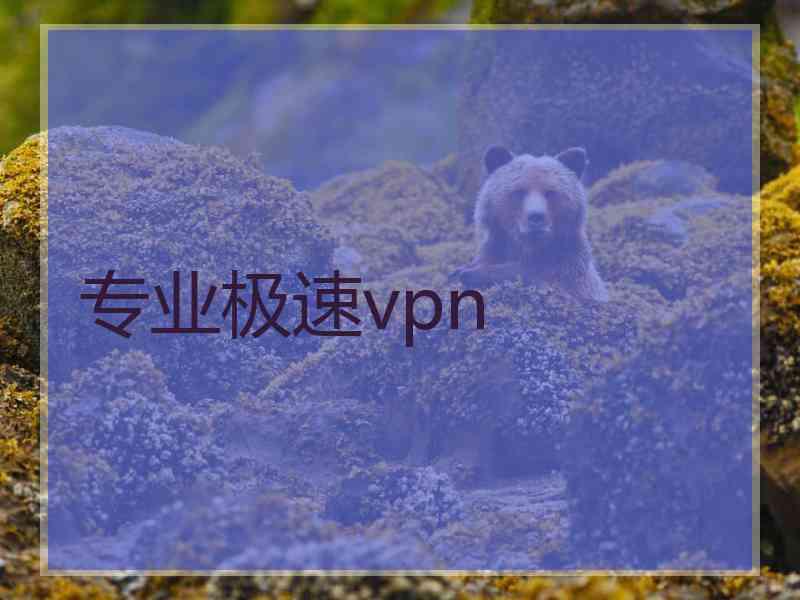 专业极速vpn