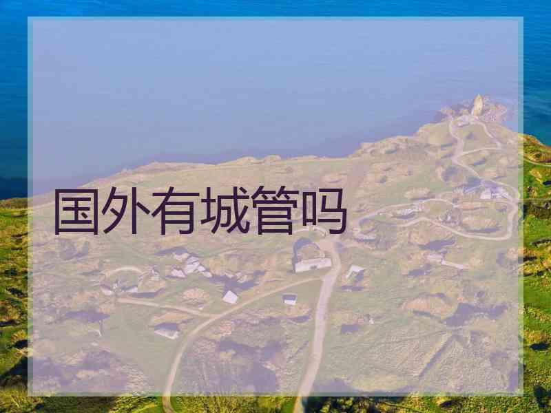 国外有城管吗