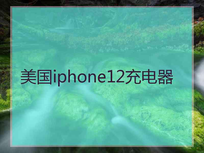 美国iphone12充电器