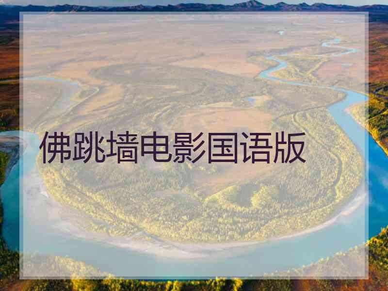 佛跳墙电影国语版