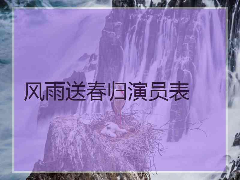 风雨送春归演员表