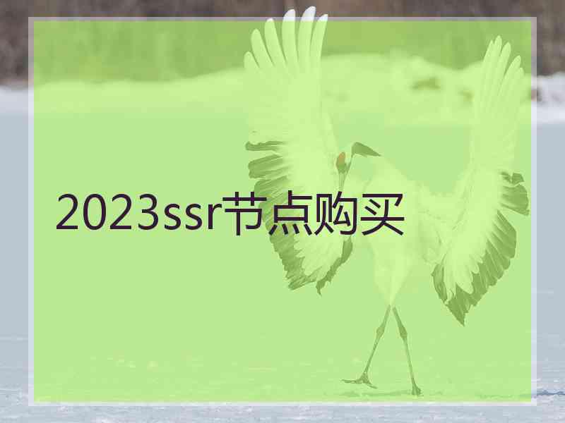 2023ssr节点购买