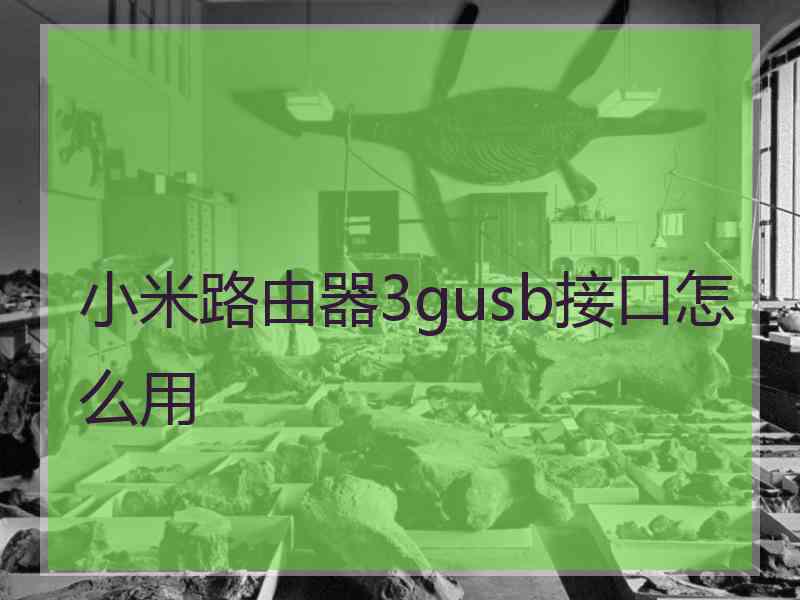 小米路由器3gusb接口怎么用
