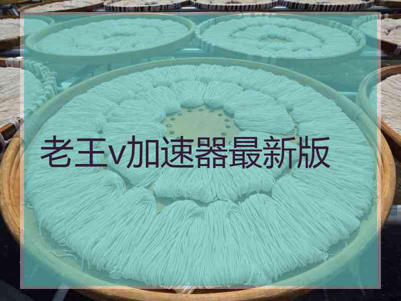 老王v加速器最新版