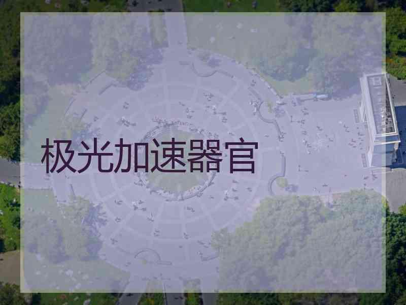 极光加速器官