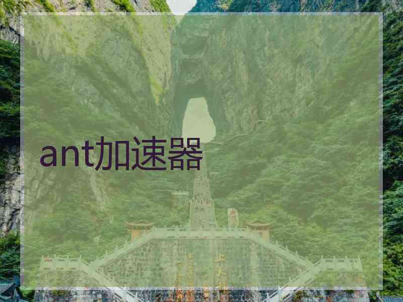ant加速器