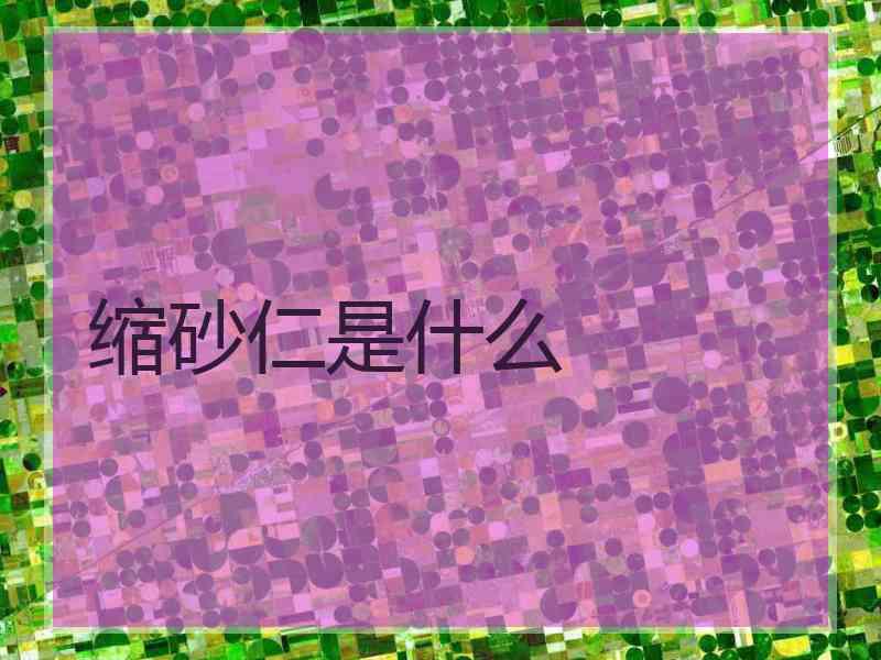 缩砂仁是什么